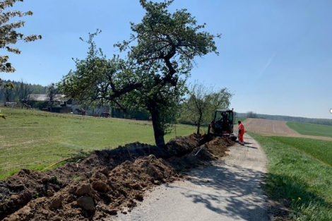 Aufgepflügter Feldweg, daneben Wiesen und Bäume.